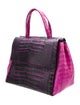 Nancy Gonzalez Crocodile Top Handle Bag