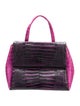 Nancy Gonzalez Crocodile Top Handle Bag