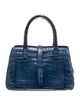 Nancy Gonzalez Crocodile Top Handle Bag