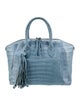 Nancy Gonzalez Crocodile Top Handle Bag