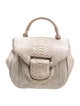 Nancy Gonzalez Python Top Handle Bag