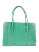 Nancy Gonzalez Crocodile Top Handle Bag