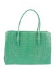 Nancy Gonzalez Crocodile Top Handle Bag