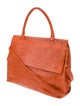 Nancy Gonzalez Crocodile Top Handle Bag