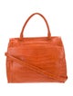 Nancy Gonzalez Crocodile Top Handle Bag