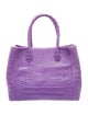 Nancy Gonzalez Crocodile Top Handle Bag