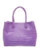 Nancy Gonzalez Crocodile Top Handle Bag