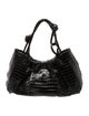 Nancy Gonzalez Caiman Hobo
