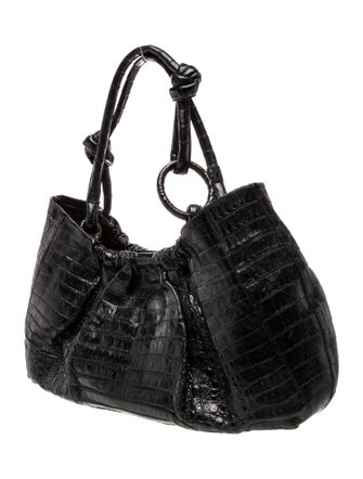 Nancy Gonzalez Caiman Hobo