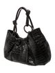 Nancy Gonzalez Caiman Hobo