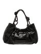 Nancy Gonzalez Caiman Hobo