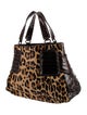 Nancy Gonzalez Ponyhair Top Handle Bag