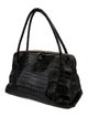Nancy Gonzalez Crocodile Shoulder Bag