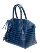 Nancy Gonzalez Crocodile Top Handle Bag