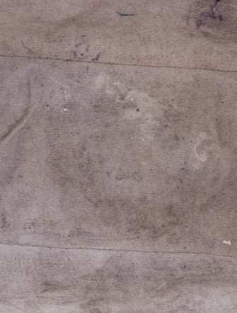 Nancy Gonzalez Caiman Tote