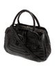 Nancy Gonzalez Caiman Top Handle Bag