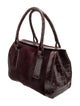 Nancy Gonzalez Crocodile Top Handle Bag