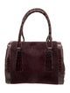 Nancy Gonzalez Crocodile Top Handle Bag