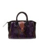 Nancy Gonzalez Snakeskin Top Handle Bag