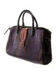 Nancy Gonzalez Snakeskin Top Handle Bag