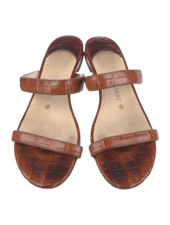 Nancy Gonzalez Alligator Slides