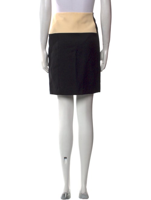 Narciso Rodriguez Colorblock Pattern Knee-Length Skirt