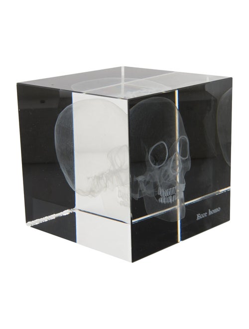 Nicole Sassaman 3D Skull Paperweight