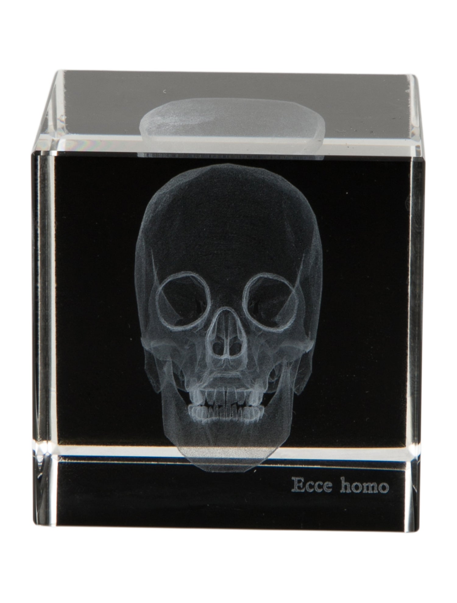 Nicole Sassaman 3D Skull Paperweight