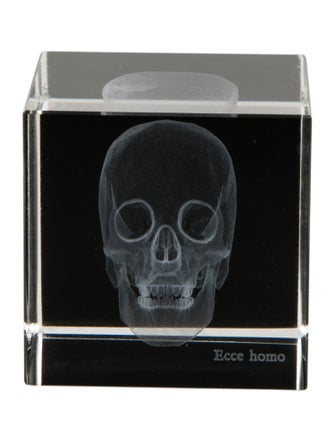 Nicole Sassaman 3D Skull Paperweight