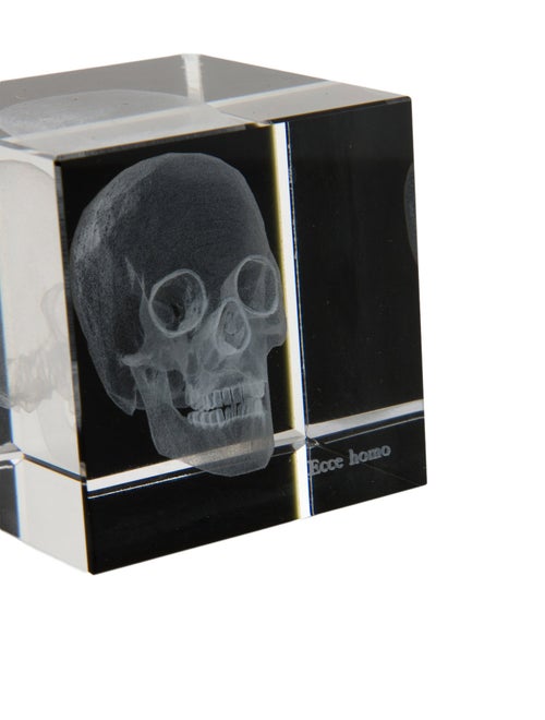 Nicole Sassaman 3D Skull Paperweight