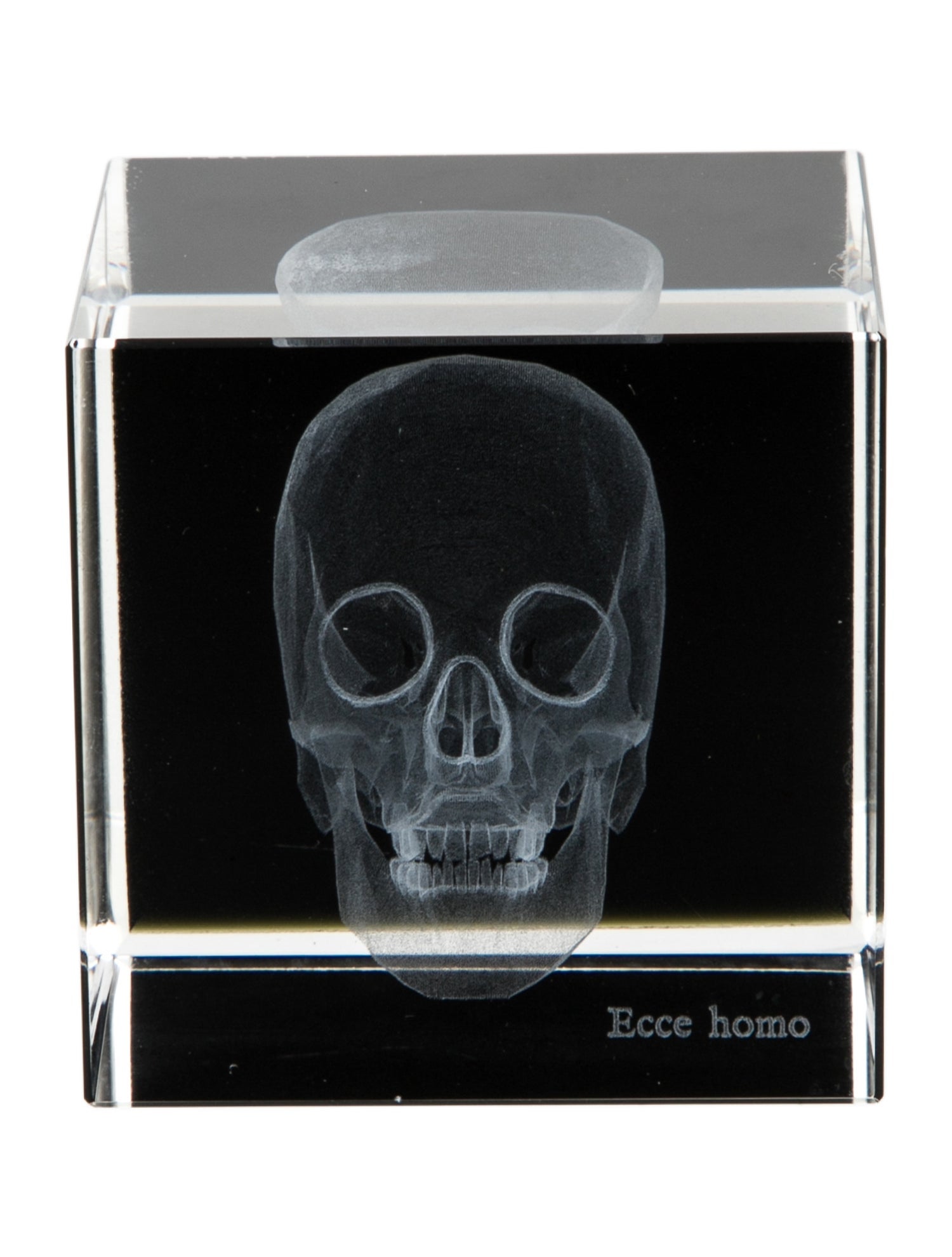 Nicole Sassaman 3D Skull Paperweight