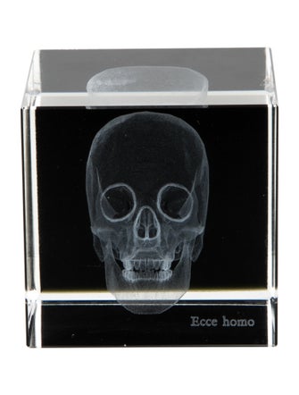 Nicole Sassaman 3D Skull Paperweight