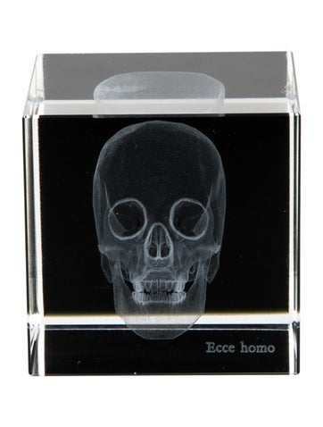 Nicole Sassaman Decorative Accents 3D Skull Paperweight