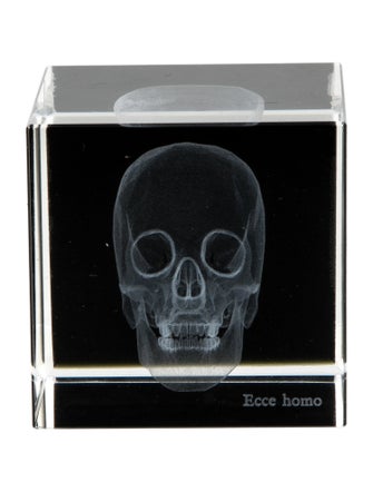 Nicole Sassaman 3D Skull Paperweight