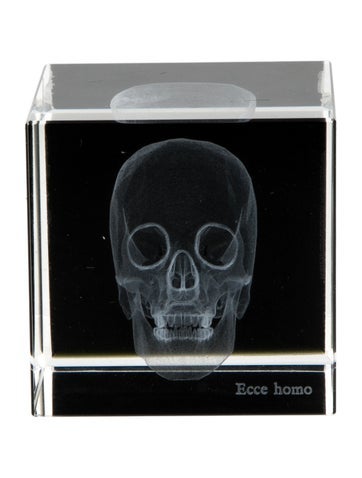 Nicole Sassaman Decorative Accents 3D Skull Paperweight