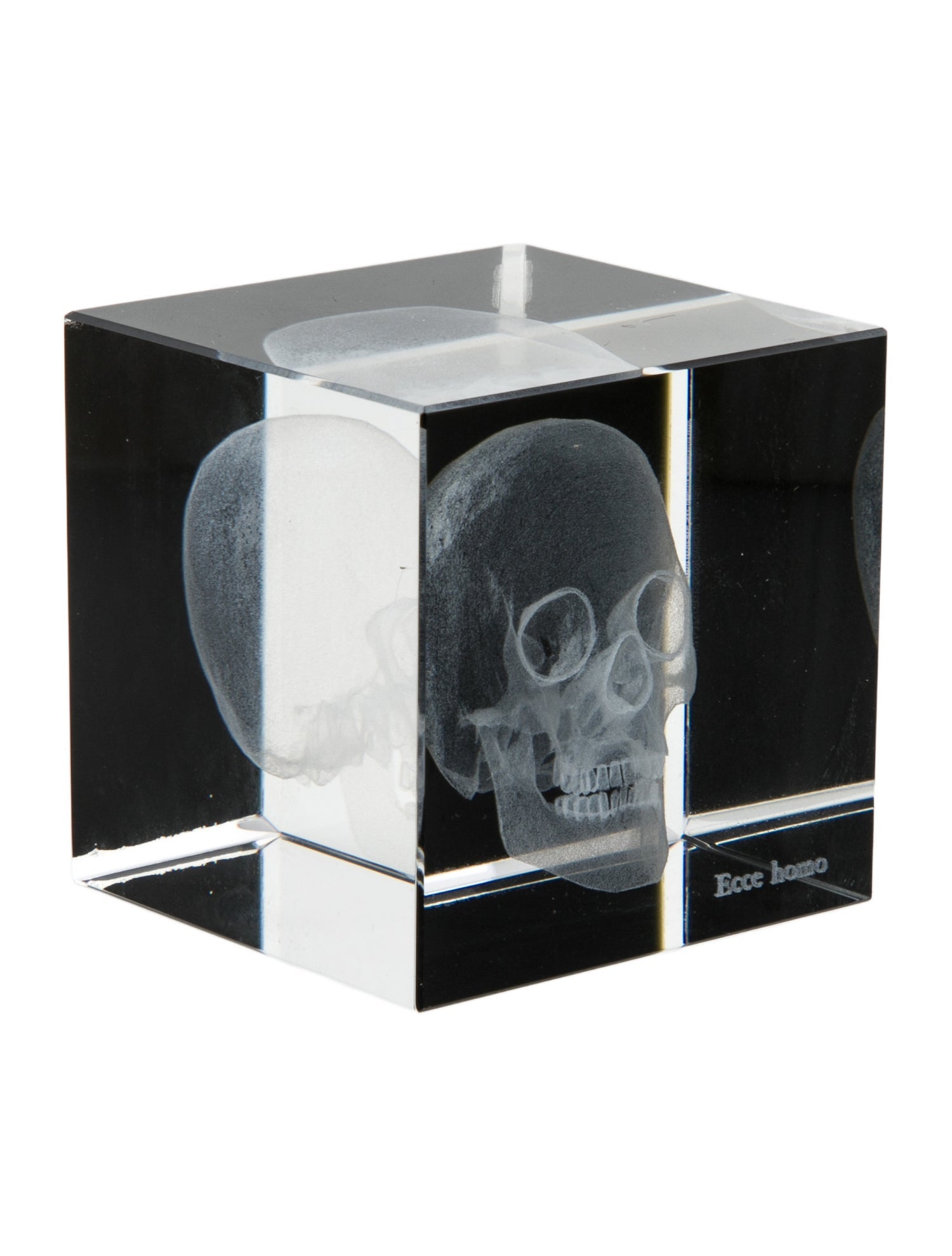 Nicole Sassaman 3D Skull Paperweight