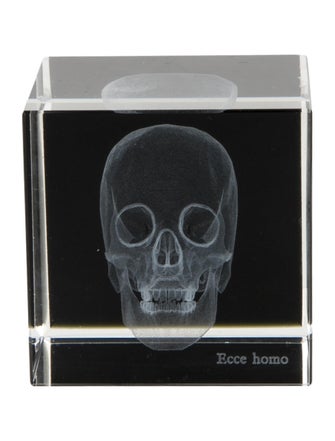 Nicole Sassaman 3D Skull Paperweight