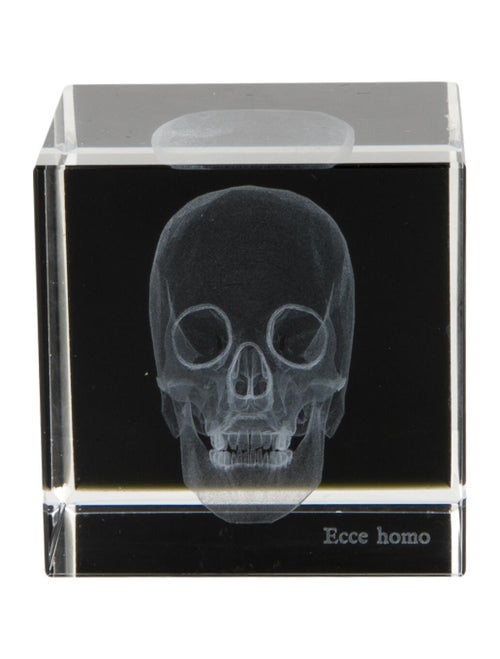 Nicole Sassaman 3D Skull Paperweight