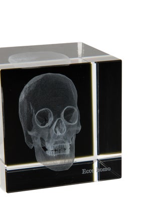 Nicole Sassaman 3D Skull Paperweight