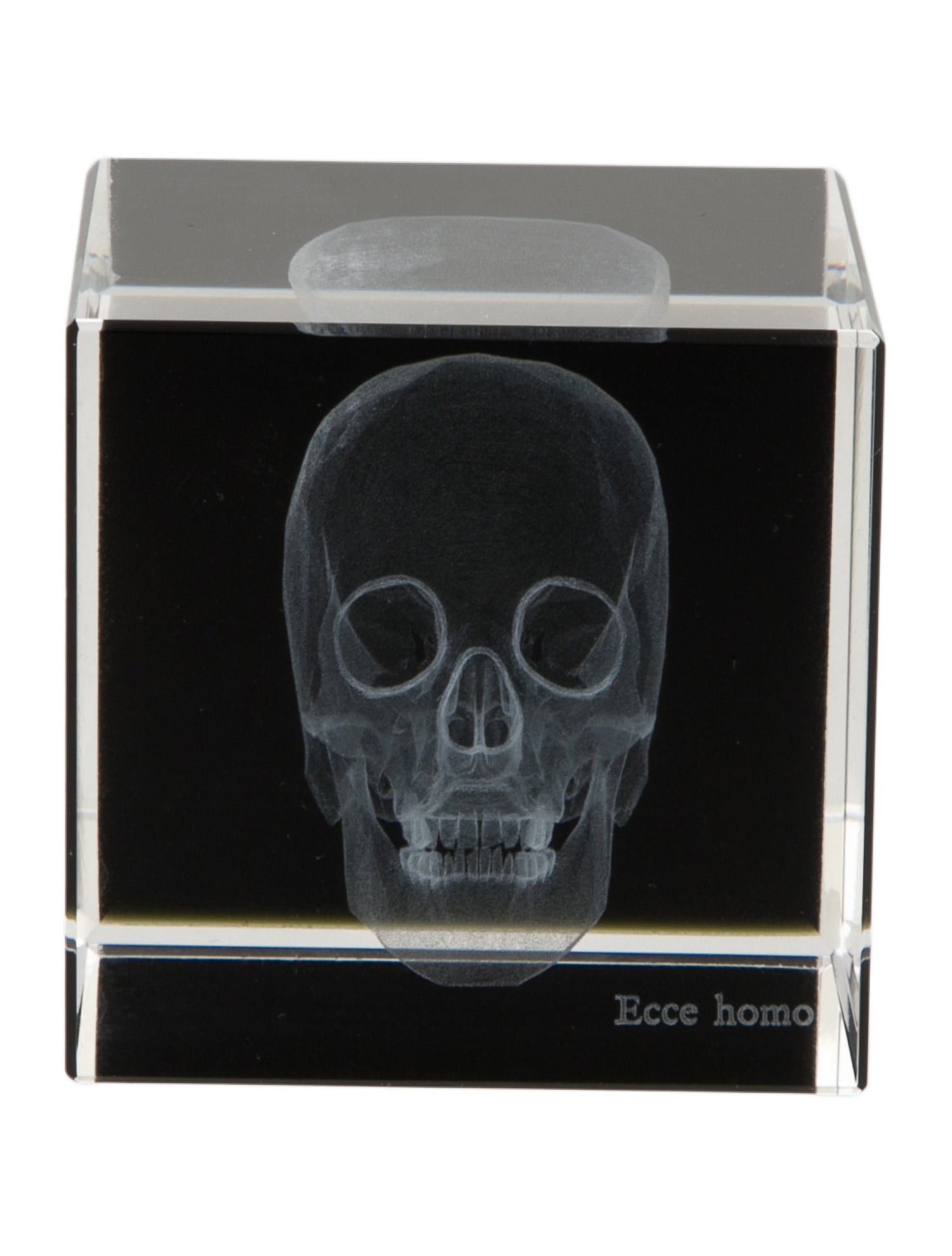 Nicole Sassaman 3D Skull Paperweight