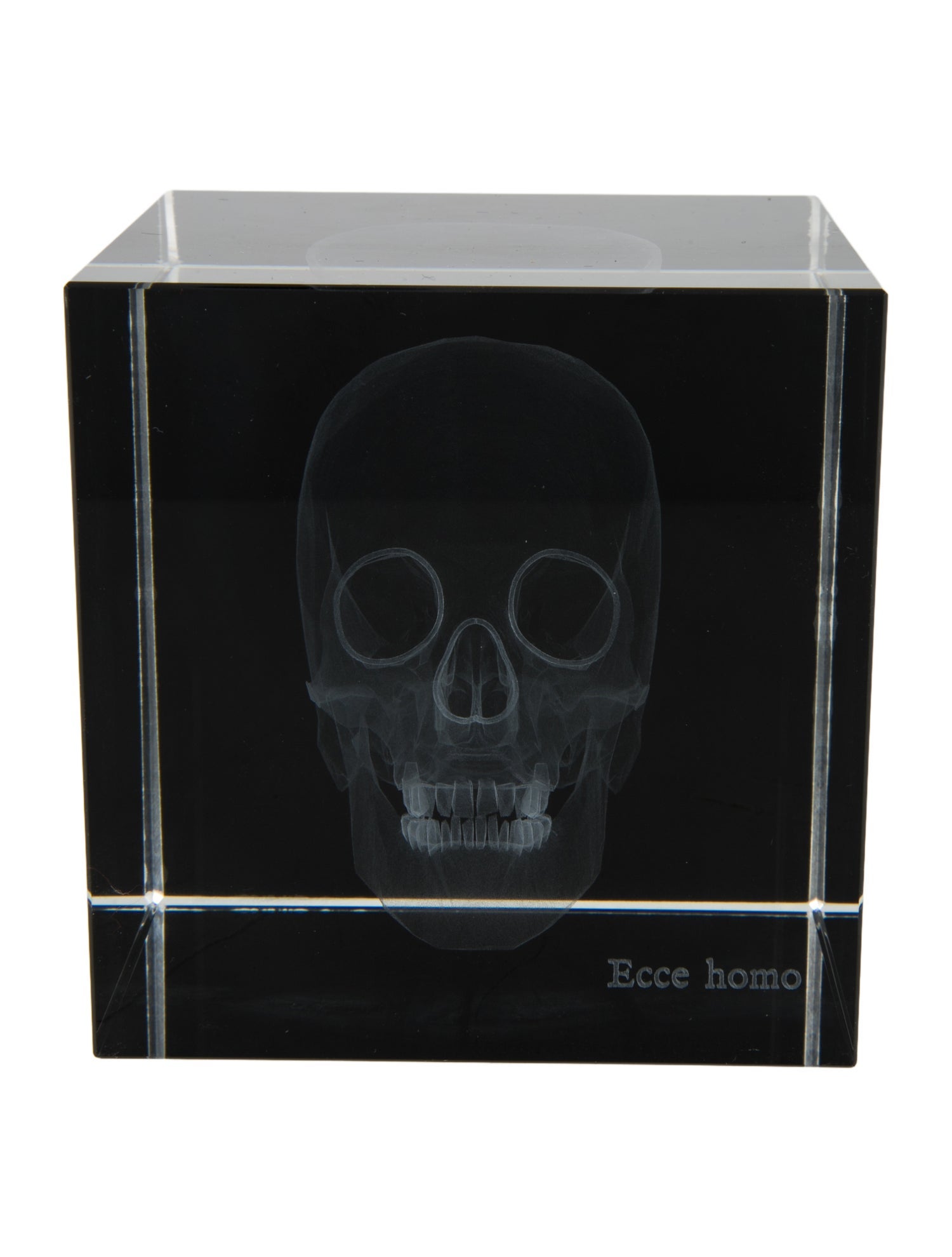 Nicole Sassaman 3D Skull Paperweight