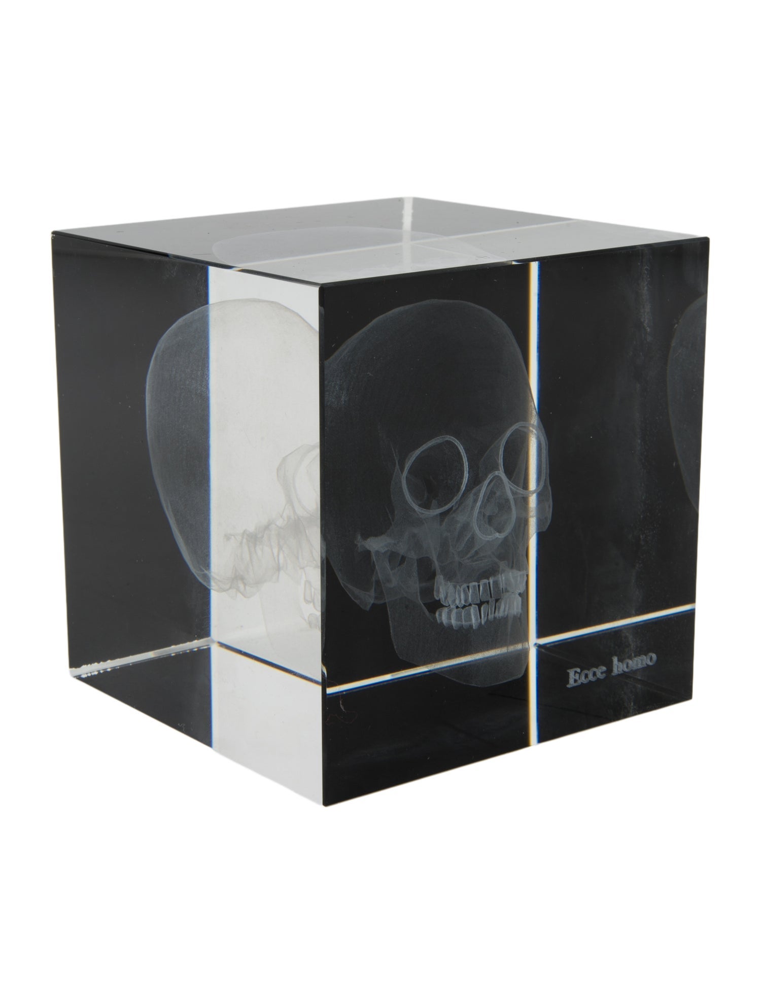 Nicole Sassaman 3D Skull Paperweight