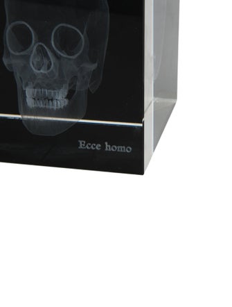 Nicole Sassaman 3D Skull Paperweight