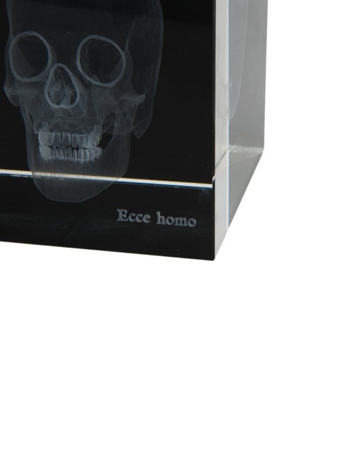 Nicole Sassaman 3D Skull Paperweight