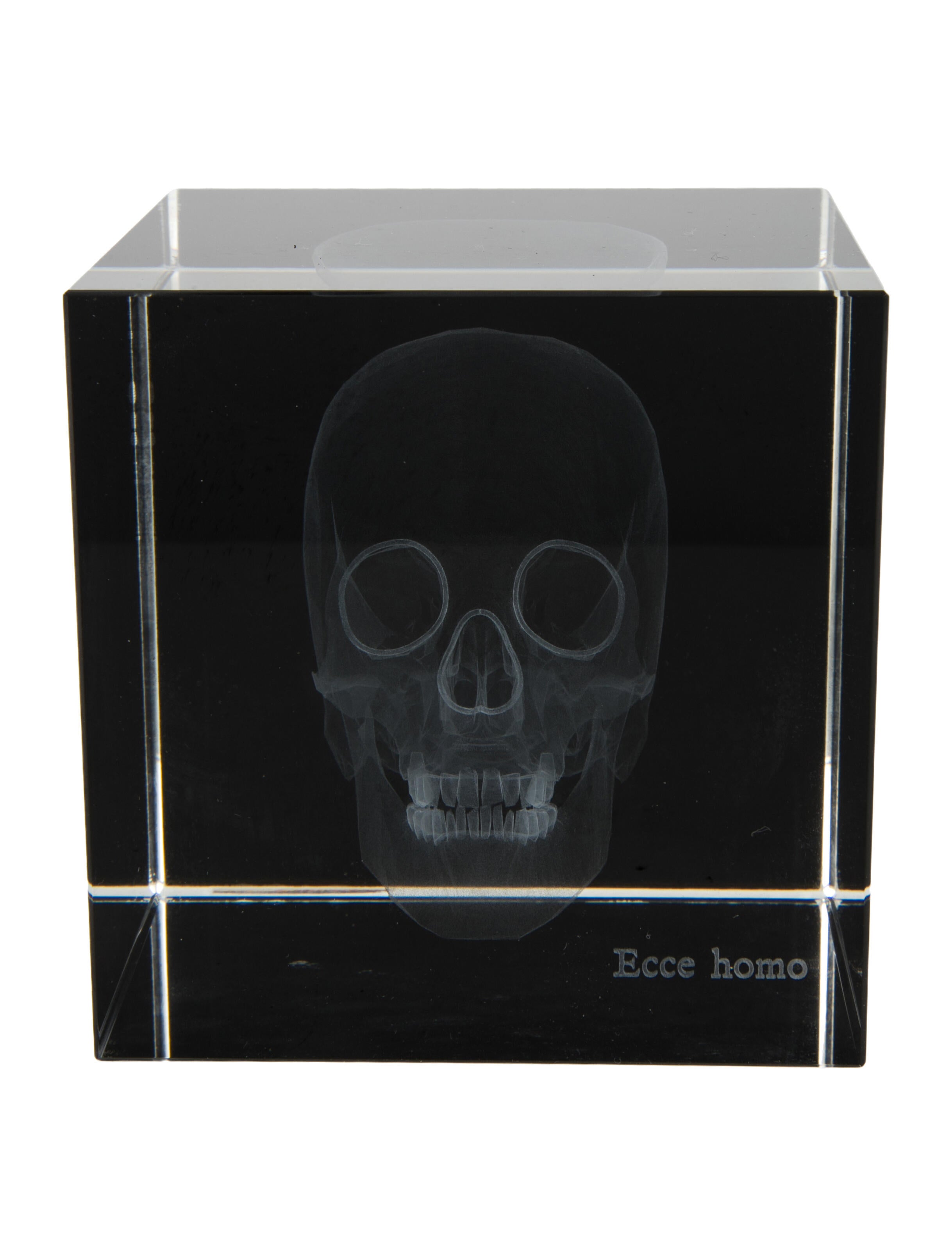 Nicole Sassaman 3D Skull Paperweight