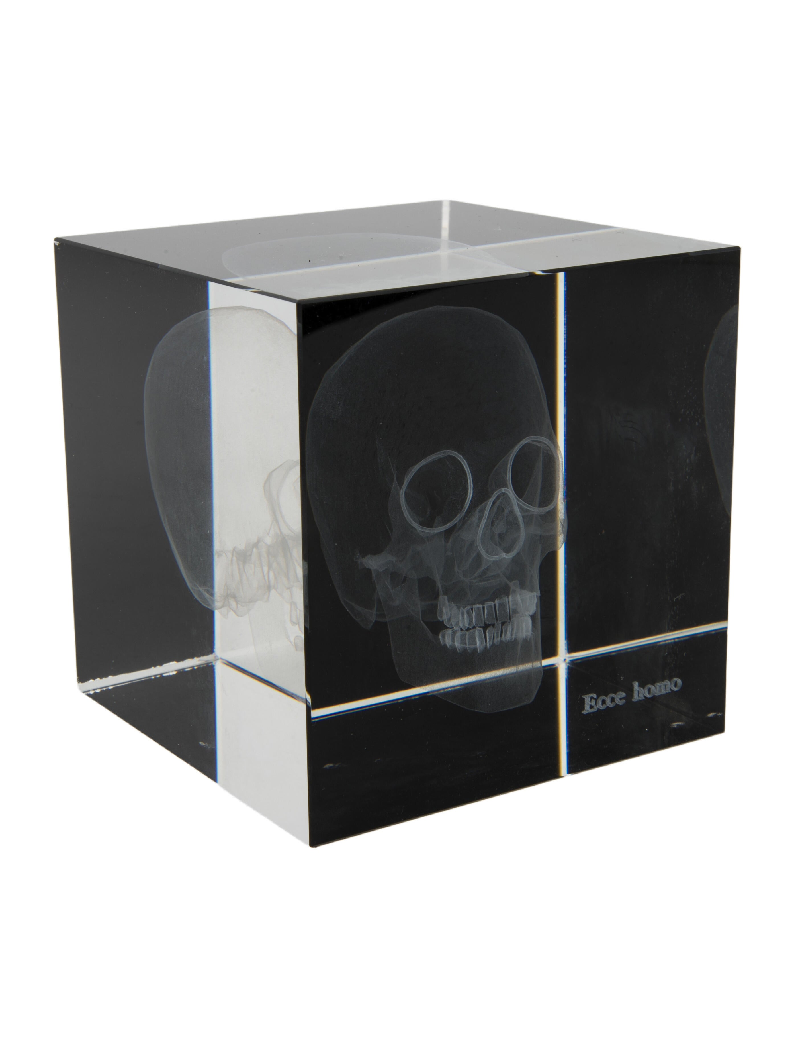 Nicole Sassaman 3D Skull Paperweight
