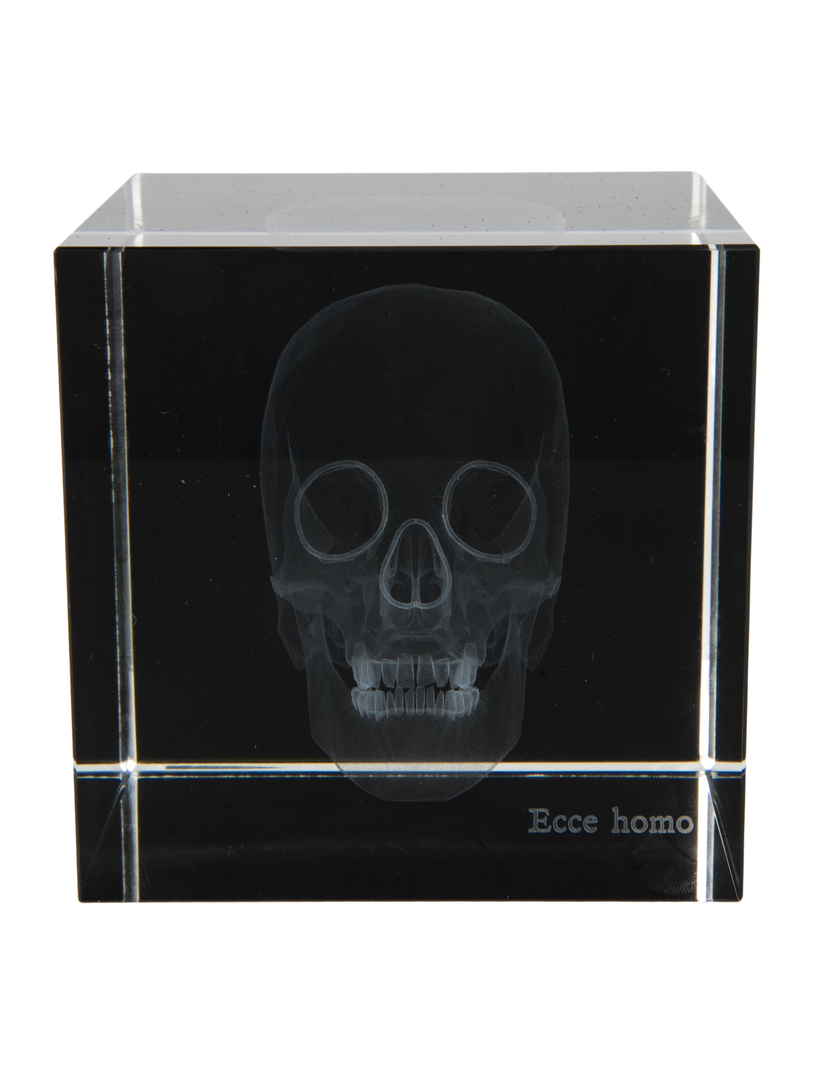 Nicole Sassaman 3D Skull Paperweight