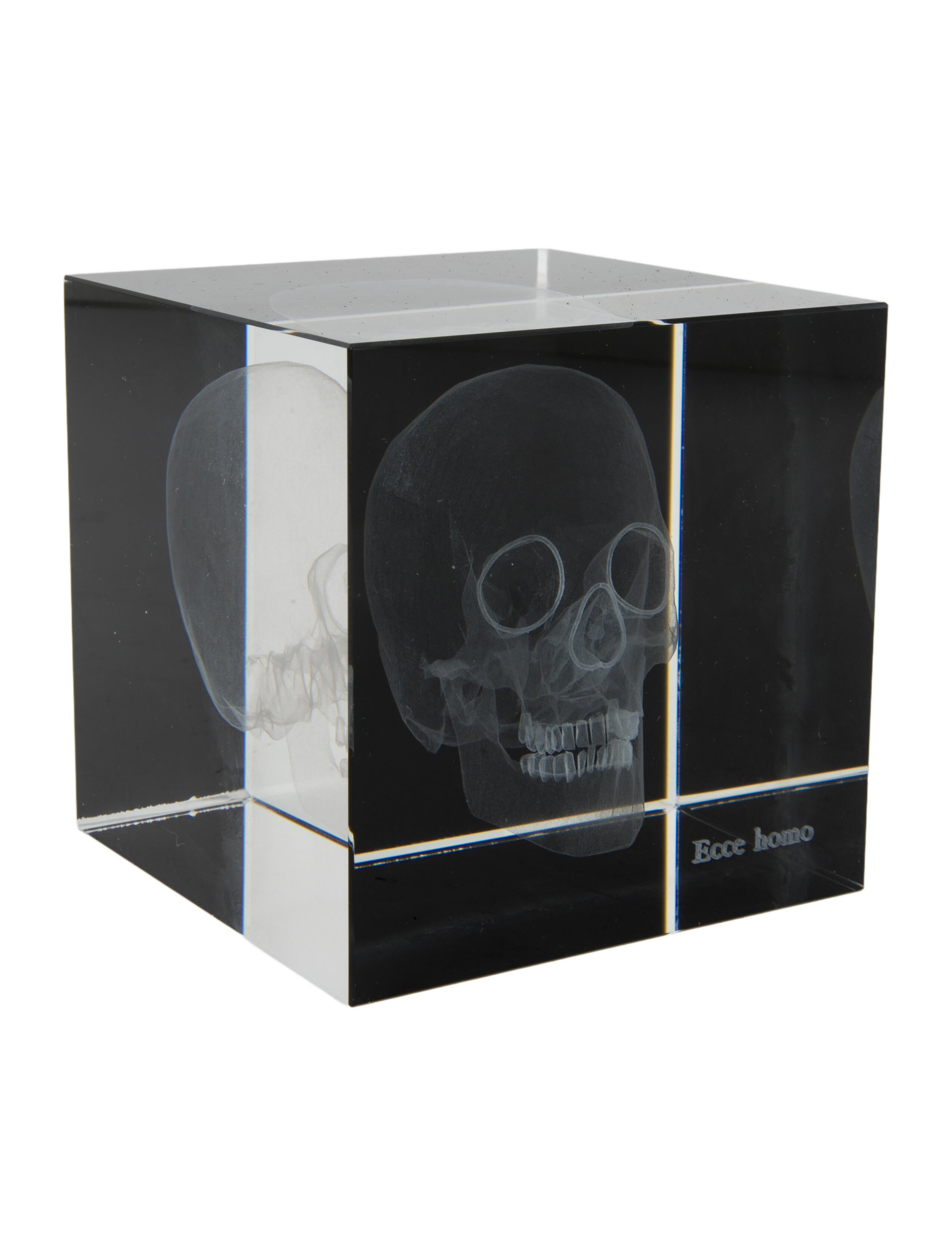Nicole Sassaman 3D Skull Paperweight