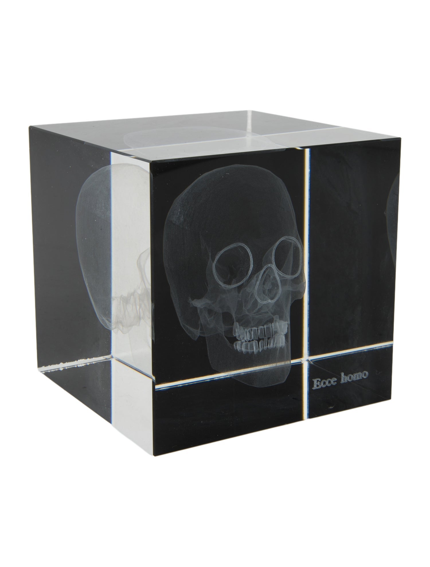 Nicole Sassaman 3D Skull Paperweight