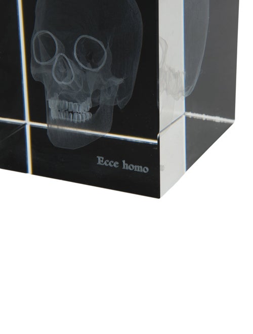 Nicole Sassaman 3D Skull Paperweight